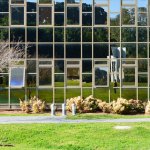 Tel Aviv and rehovot: a new research by Yulia Leonova