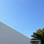 History of Ideas: Nature/Architecture
