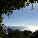 Newsletter 1, 2025