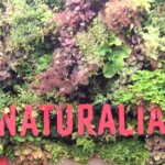 Ideal Spaces News update: January 21