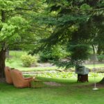 Ideal Spaces News Update: January 7