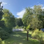 Ideal Spaces News Update